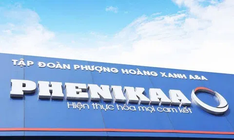 Lợi nhuận Phenikaa Group giảm 58% sau 6 tháng, chi phí vận hành bệnh viện mới kéo lùi kết quả kinh doanh