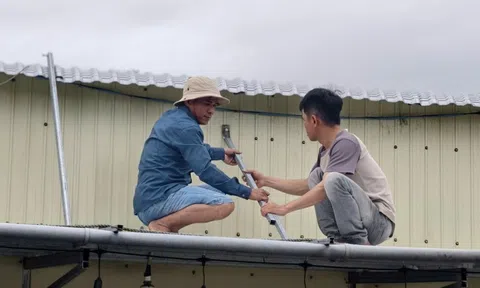 Quảng Ngãi “căng mình” trước bão số 13: Ngư dân chạy đua neo tàu, dân ven biển gia cố nhà cửa