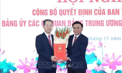 Đồng chí Nguyễn Văn Quảng giữ chức Bí thư Đảng ủy Tòa án nhân dân Tối cao