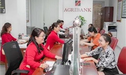 Làn sóng AI: Ngân hàng 'khát' nhân lực số