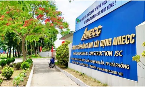 AMECC (AMS): Lợi nhuận quý 3 giảm 47%, bị phạt 327,5 triệu đồng vì Trưởng BKS 'không đủ chuẩn'