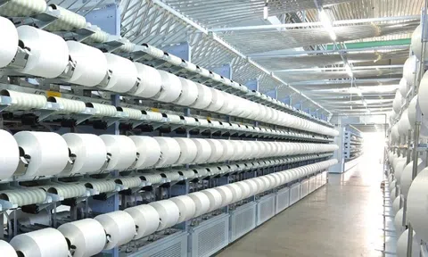 Sợi Thế Kỷ (STK) bị truy thu 444,2 triệu đồng tiền thuế, lợi nhuận quý 3/2025 giảm 87%