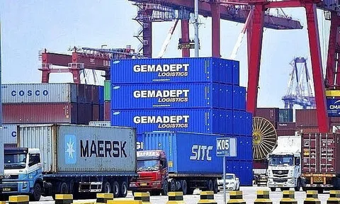 Gemadept (GMD): Lợi nhuận liên kết 9 tháng đạt kỷ lục 767 tỷ đồng, cảng Gemalink đóng góp 526 tỷ