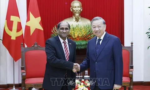 Tổng Bí thư Tô Lâm tiếp Đại sứ Singapore tại Việt Nam