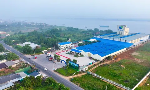 Thức ăn thủy sản De Heus đạt chuẩn quốc tế ASC: Bước tiến lớn trên hành trình phát triển bền vững