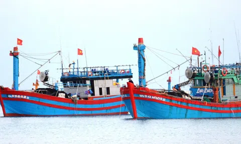 Thanh Hóa: Cần nâng cấp hệ thống VMS để chống khai thác IUU