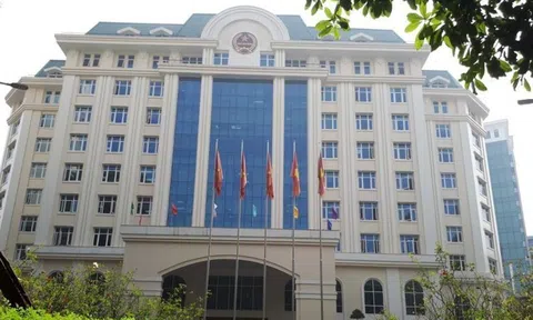 Ngành thuế cấp bách khảo sát, hoàn thiện cơ sở dữ liệu hộ kinh doanh