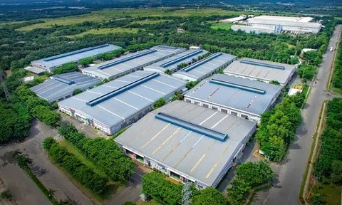 Khu Công nghiệp Cao su Bình Long (MH3): Vốn hóa 638 tỷ đồng, doanh nghiệp nắm 830 tỷ tiền mặt, gần như không nợ vay