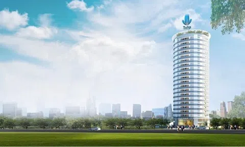 Quý thứ 4 lỗ liên tiếp, Vạn Phát Hưng (VPH) tiếp tục thay đổi nhân sự cấp cao