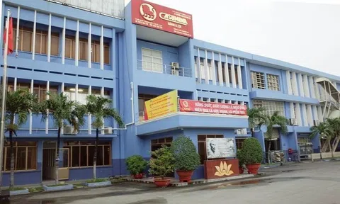 Casumina (CSM) có 2 Phó Tổng Giám đốc mới, lãi ròng quý 3 tăng 17% bất chấp doanh thu giảm