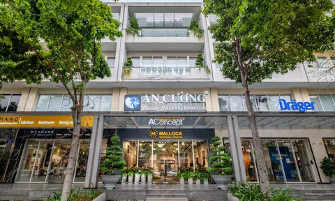 Gỗ An Cường (ACG) cho Thắng Lợi Homes vay 200 tỷ đồng, ngay sau khi giảm sở hữu tại công ty này xuống 25,5%