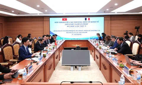 Đối thoại cấp cao thường niên về kinh tế Việt Nam - Cộng hoà Pháp