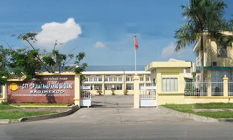 Sa Giang (SGC) chào bán cổ phiếu 1:1 giá 65.000 đồng, 'rót' 465 tỷ vào công ty Hoàn Ngọc