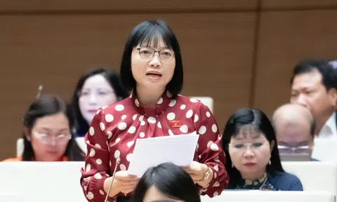 ĐBQH: Chính sách nghỉ thai sản cần hướng đến sự linh hoạt hơn