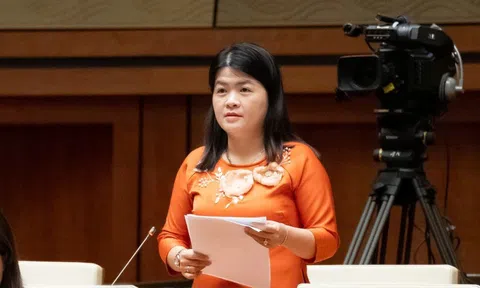 Đề nghị bổ sung cơ chế, chính sách với phụ nữ sinh con thứ 3 trở lên