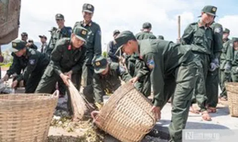 Gia Lai: Dốc toàn lực khắc phục hậu quả bão 13 với tinh thần quyết liệt nhất