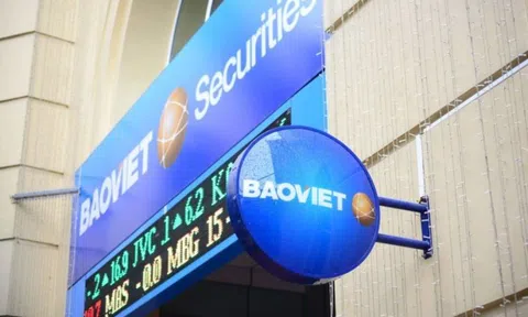 Chứng khoán Bảo Việt (BVS) chốt ngày trả cổ tức 8% bằng tiền, 9 tháng hoàn thành kế hoạch lợi nhuận