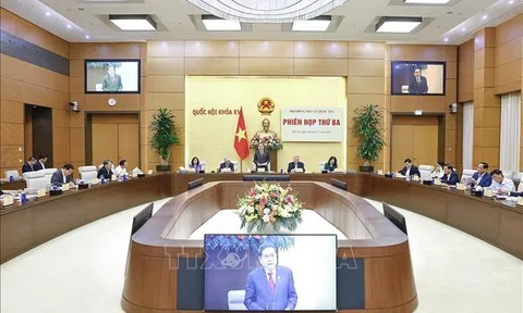 Tuyệt đối không để xảy ra sai sót ảnh hưởng đến quyền bầu cử, ứng cử