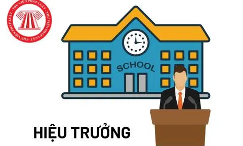 Chủ tịch Hội đồng trường và Hiệu trưởng, ai thực sự 'nắm quyền' tại những trường tư thục?