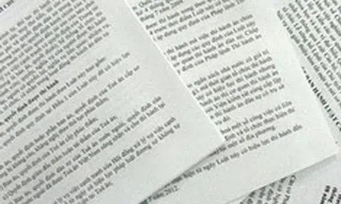 Chính phủ bãi bỏ toàn bộ hoặc một phần đối với 10 nghị định