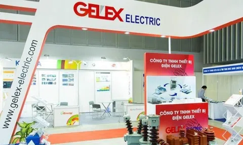 GELEX luân chuyển lãnh đạo, Giám đốc Kiểm toán nội bộ Tập đoàn giữ chức Phó Tổng Giám đốc GELEX Electric
