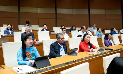 Đại biểu Quốc hội đề nghị làm rõ quyền viên chức tham gia doanh nghiệp