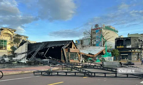 Hỗ trợ khẩn cấp 80 tỷ đồng cho 3 tỉnh Quảng Ngãi, Gia Lai, Đắk Lắk