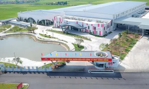 Kết quả kinh doanh khởi sắc, May Sông Hồng (MSH) dự chi 450 tỷ đồng tiền trả cổ tức