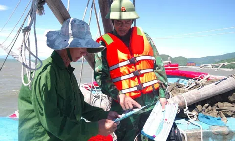 Quảng Trị: Niêm phong tàu cá không đủ điều kiện hoạt động