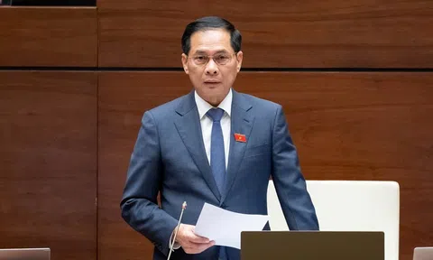 Phó Thủ tướng Bùi Thanh Sơn: Luật Thương mại điện tử phải vừa kiến tạo phát triển, vừa bảo vệ người tiêu dùng