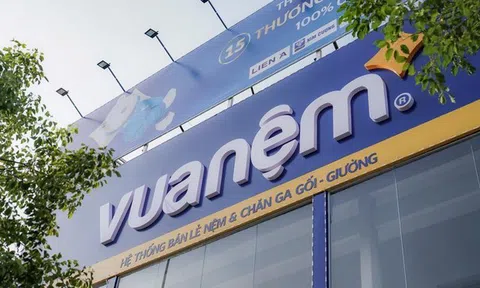 Lãi ròng 9 tháng tăng 292%, Vua Nệm của Mekong Capital rục rịch kế hoạch lên sàn Upcom