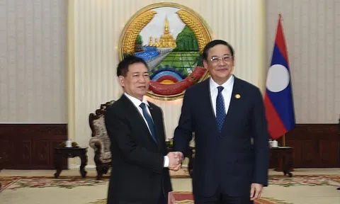 Phó Thủ tướng Hồ Đức Phớc hội kiến Thủ tướng Lào Sonexay Siphandone