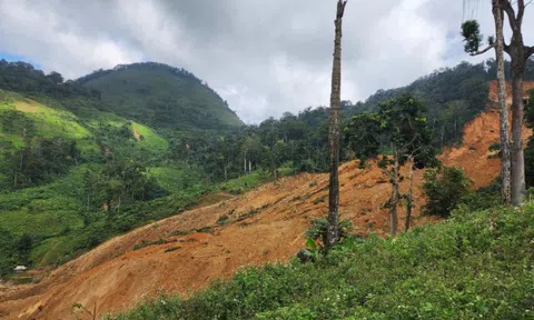 Đà Nẵng: Sạt lở núi ở xã biên giới, sơ tán khẩn cấp hơn 200 người