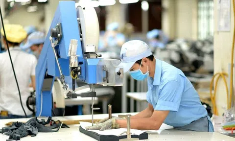 'Cơn mưa' cổ tức dệt may 2025: May Sông Hồng (MSH) chi 450 tỷ, TNG và Phong Phú ấn định ngày chốt quyền