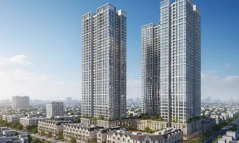 Hà Nội giao 2,9 ha đất nông nghiệp cho thành viên Tân Á Đại Thành làm dự án Meyhomes Hoàng Mai