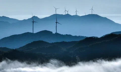 Cuộc đua AI chững lại vì thiếu điện: Các trung tâm dữ liệu tiêu thụ 945 TWh, lưới điện toàn cầu 'chạm ngưỡng'