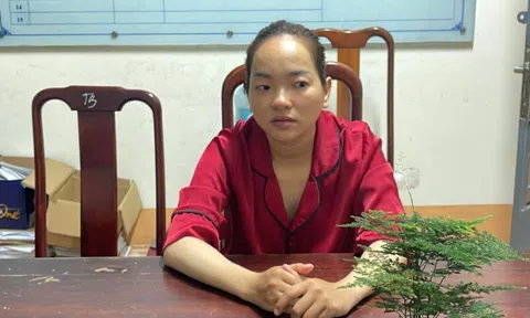 Đến dọn nhà, người phụ nữ trộm trang sức hơn 330 triệu đồng của gia chủ