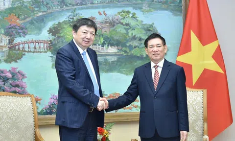 Phó Thủ tướng Hồ Đức Phớc tiếp Chủ tịch Tập đoàn Hoa Thiết (Trung Quốc)