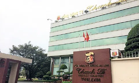 'Làm ngơ' sai sót 307 tỷ tại Thanh Lễ (TLP), hai kiểm toán viên Nhân Tâm Việt bị đình chỉ tư cách