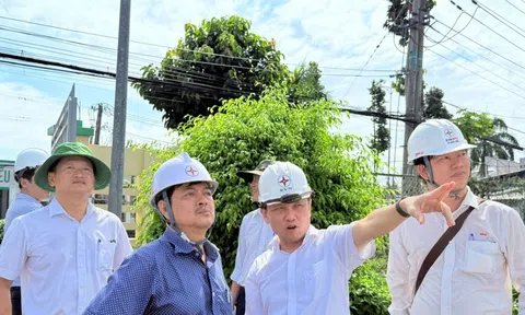 Đảm bảo điện miền Nam: EVNSPC quyết liệt trong công tác đầu tư xây dựng