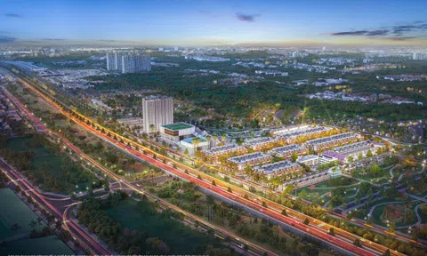 Thị trường chọn lọc nhà đầu tư, sản phẩm nhà phố Homie City được chú ý nhờ công năng