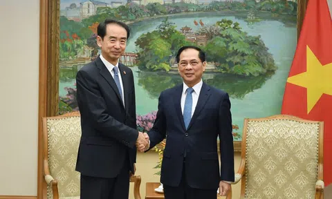 Phó Thủ tướng Bùi Thanh Sơn tiếp Đại sứ Trung Quốc Hà Vĩ