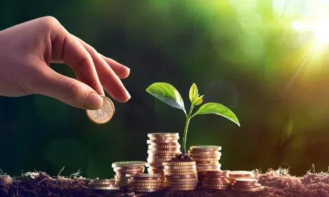 Vinamilk, Sabeco, Nhựa Bình Minh (BMP) trả cổ tức: Các tập đoàn Thái Lan đã thu về 35.000 tỷ đồng