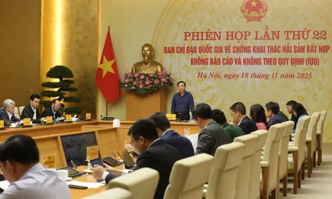 Xử lý 100% các vụ vi phạm khai thác IUU còn tồn đọng