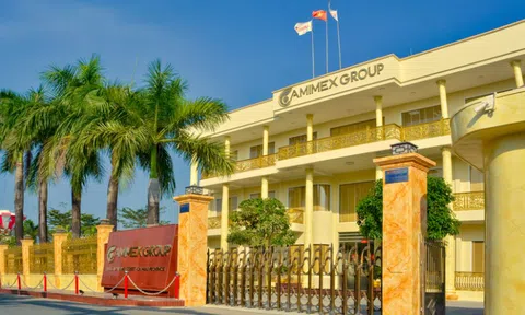 Camimex Group (CMX) thoái sạch vốn khỏi đơn vị liên kết, bỏ ngỏ tương lai dự án 3.650 tỷ đồng tại Quảng Trị