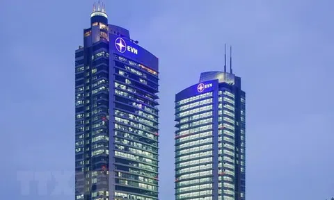 Kết luận số 208-KL/TW về sắp xếp tổ chức đảng trong các tập đoàn kinh tế, tổng công ty, ngân hàng thương mại nhà nước