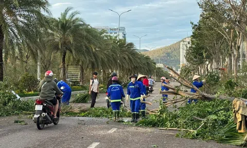 Bão số 13 suy yếu, Gia Lai tan hoang sau cơn cuồng phong