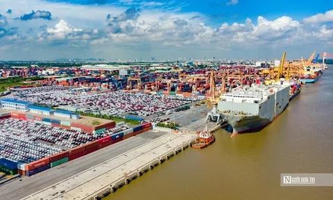 Khu vực FDI tiếp tục chiếm ưu thế về xuất nhập khẩu nửa đầu tháng 8/2025