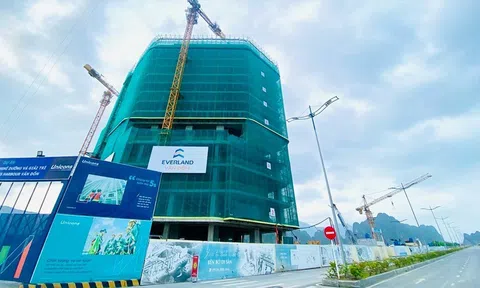 Everland (EVG) biến động nhân sự cấp cao, lãi quý 3 tăng 78% nhờ doanh thu tài chính