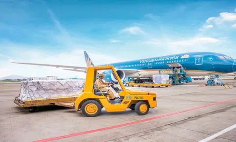 Dịch vụ hàng hóa Nội Bài (NCT): Điều chỉnh mục tiêu lợi nhuận năm 2025 tăng 22%, dự chi hơn 209 tỷ đồng trả cổ tức